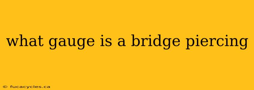 what gauge is a bridge piercing