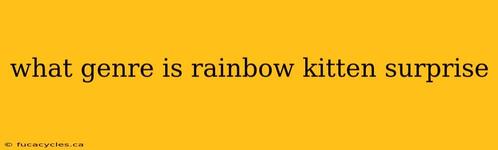 what genre is rainbow kitten surprise