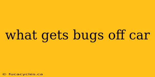 what gets bugs off car