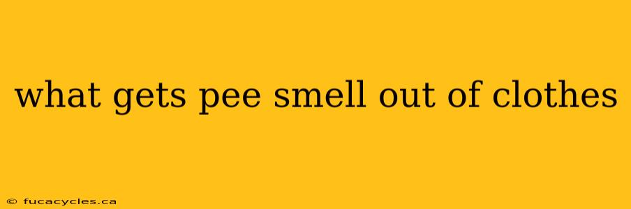 what gets pee smell out of clothes