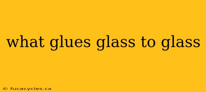 what glues glass to glass