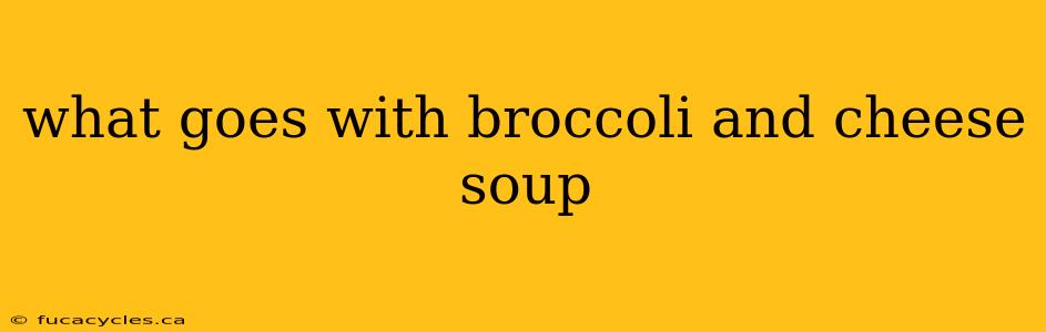 what goes with broccoli and cheese soup