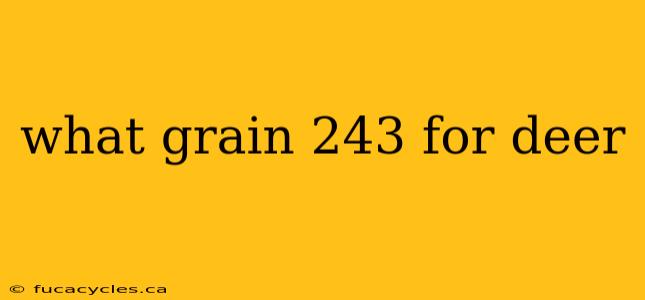 what grain 243 for deer