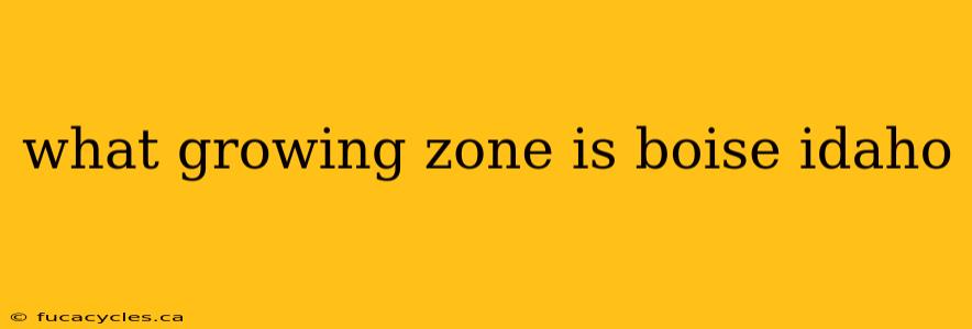 what growing zone is boise idaho