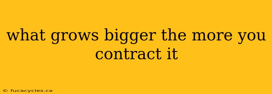 what grows bigger the more you contract it