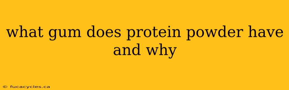 what gum does protein powder have and why