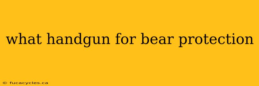 what handgun for bear protection