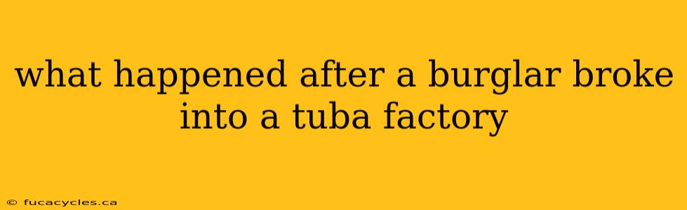 what happened after a burglar broke into a tuba factory