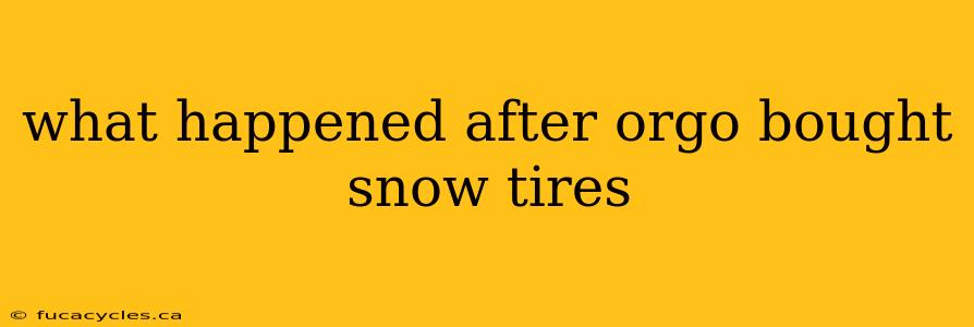 what happened after orgo bought snow tires