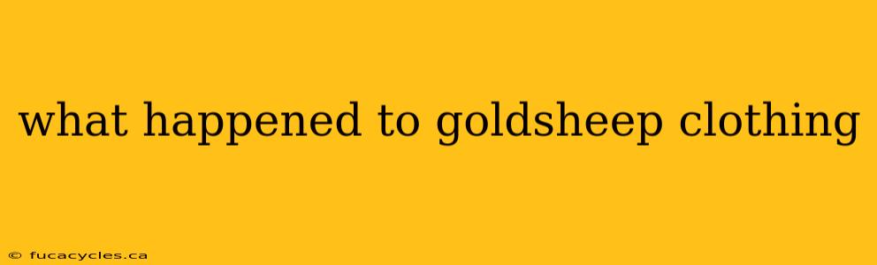 what happened to goldsheep clothing