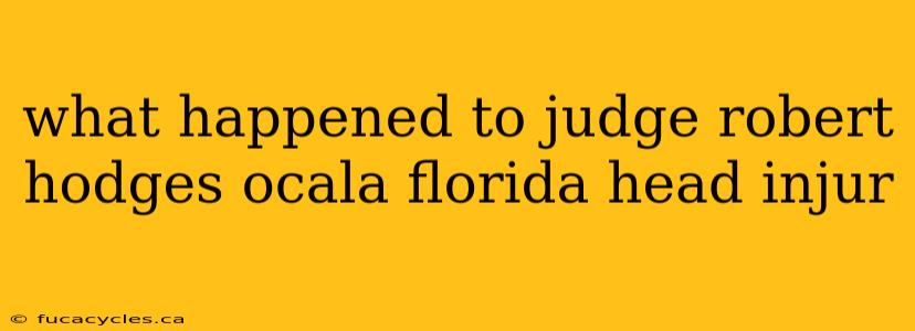 what happened to judge robert hodges ocala florida head injur