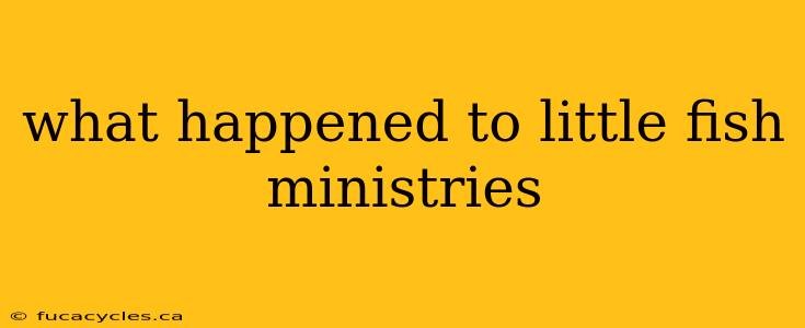 what happened to little fish ministries