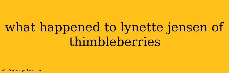 what happened to lynette jensen of thimbleberries