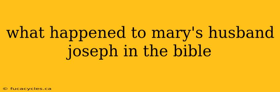 what happened to mary's husband joseph in the bible