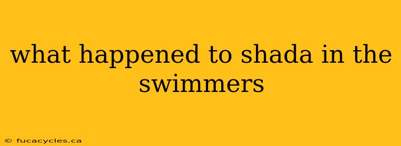 what happened to shada in the swimmers