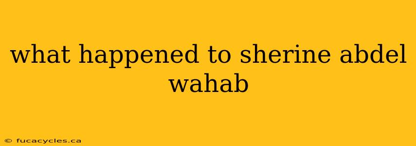 what happened to sherine abdel wahab