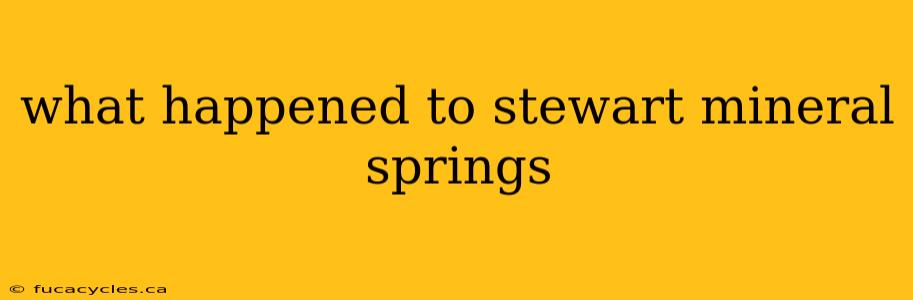 what happened to stewart mineral springs