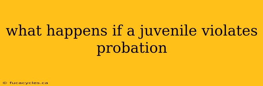 what happens if a juvenile violates probation