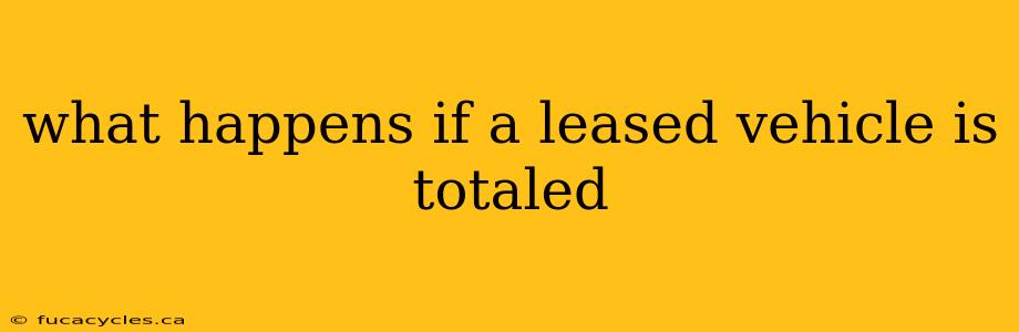 what happens if a leased vehicle is totaled