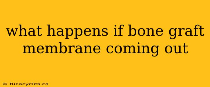 what happens if bone graft membrane coming out