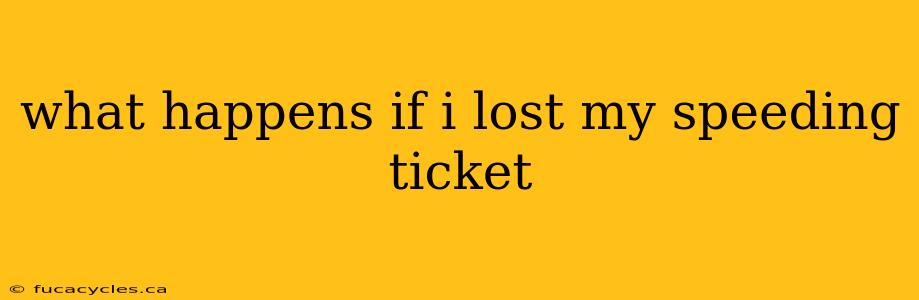 what happens if i lost my speeding ticket