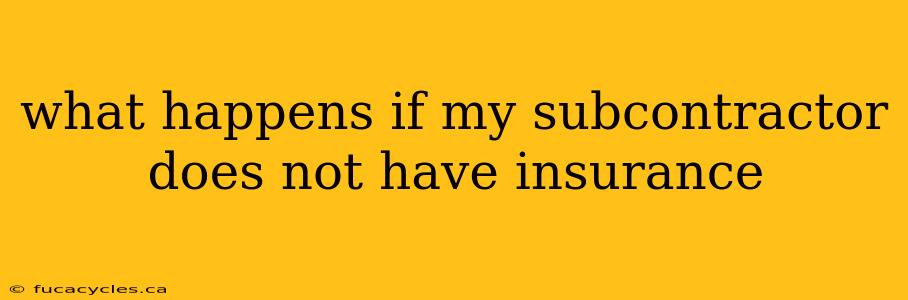 what happens if my subcontractor does not have insurance