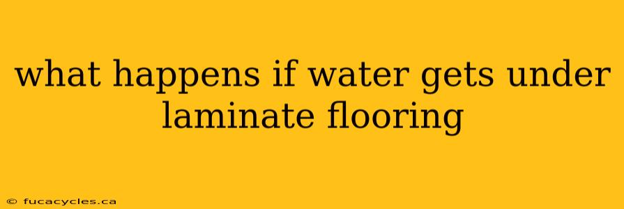 what happens if water gets under laminate flooring