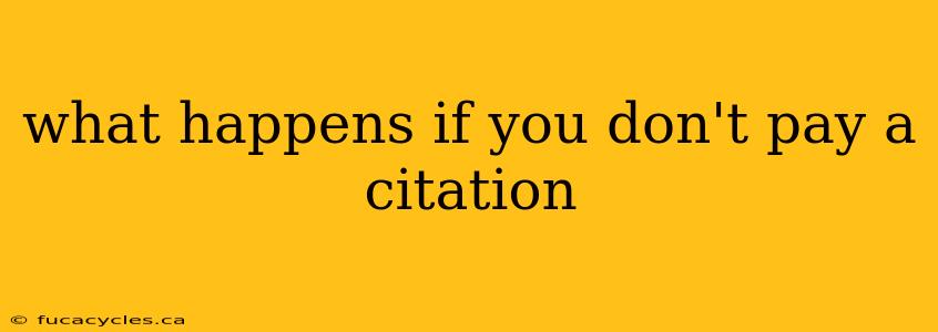 what happens if you don't pay a citation