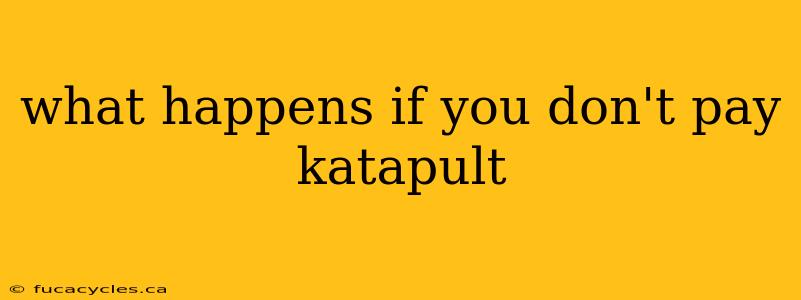 what happens if you don't pay katapult