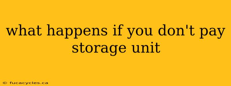 what happens if you don't pay storage unit