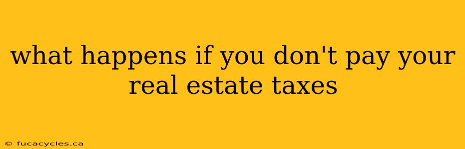 what happens if you don't pay your real estate taxes