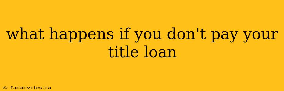 what happens if you don't pay your title loan