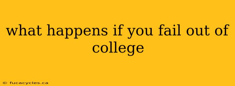 what happens if you fail out of college