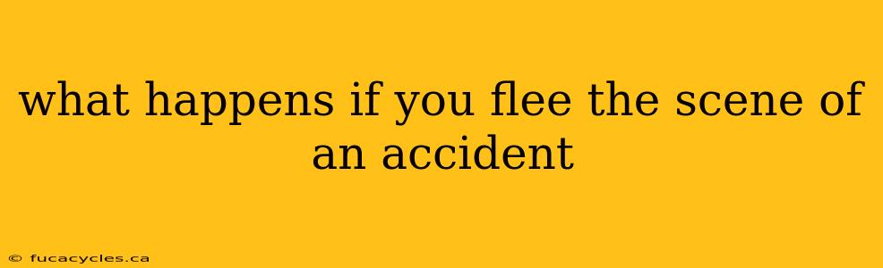 what happens if you flee the scene of an accident