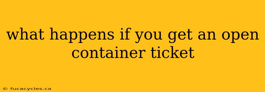 what happens if you get an open container ticket