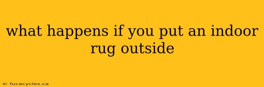 what happens if you put an indoor rug outside