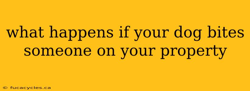 what happens if your dog bites someone on your property