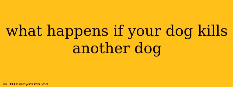 what happens if your dog kills another dog