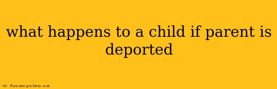 what happens to a child if parent is deported