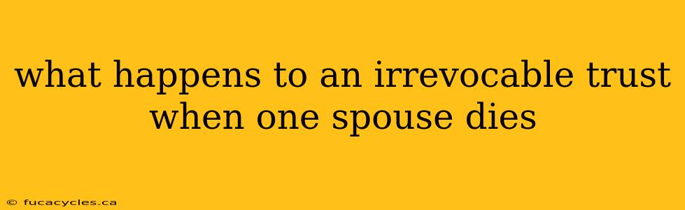 what happens to an irrevocable trust when one spouse dies