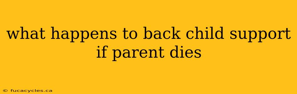 what happens to back child support if parent dies