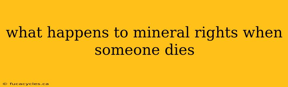 what happens to mineral rights when someone dies