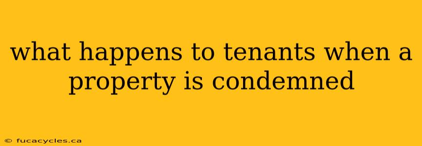 what happens to tenants when a property is condemned