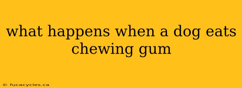 what happens when a dog eats chewing gum