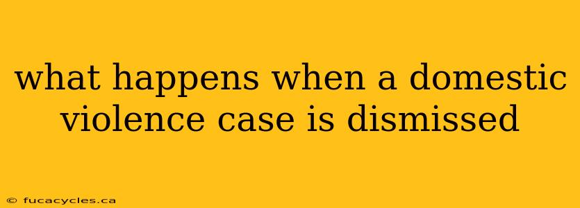 what happens when a domestic violence case is dismissed