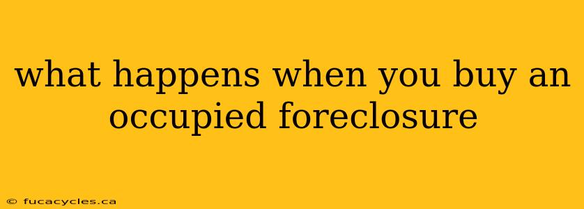 what happens when you buy an occupied foreclosure