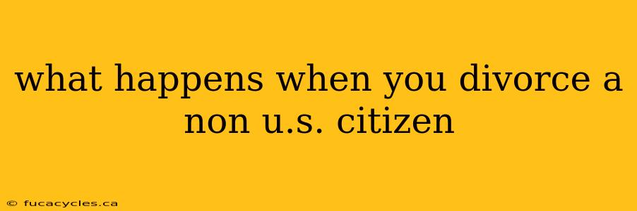 what happens when you divorce a non u.s. citizen