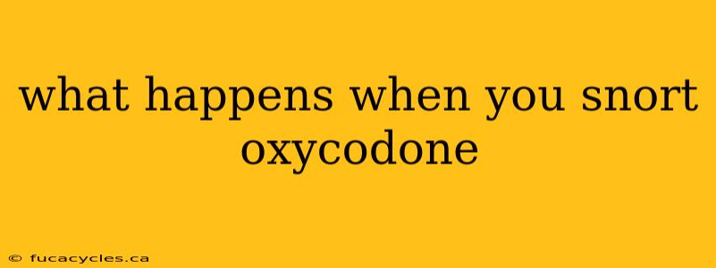 what happens when you snort oxycodone