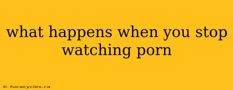 what happens when you stop watching porn