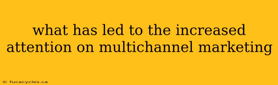 what has led to the increased attention on multichannel marketing